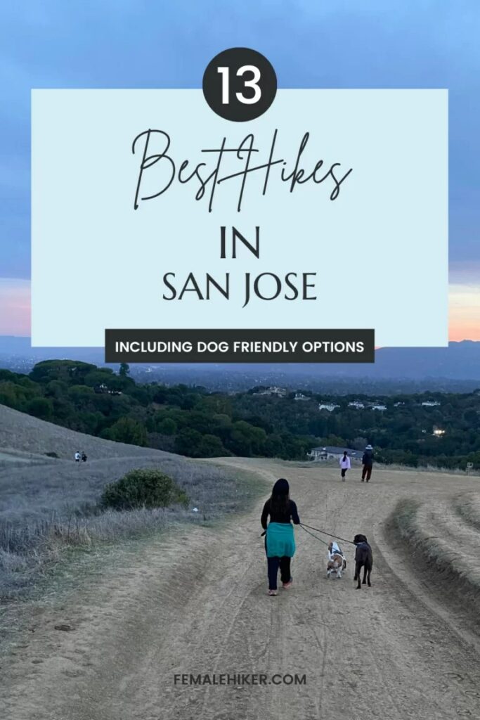 Best Dog Friendly Hikes Bay Area