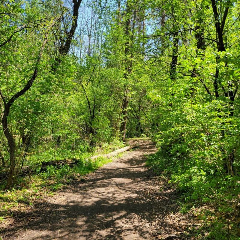 Best Dog Friendly Nature Trails Near Me