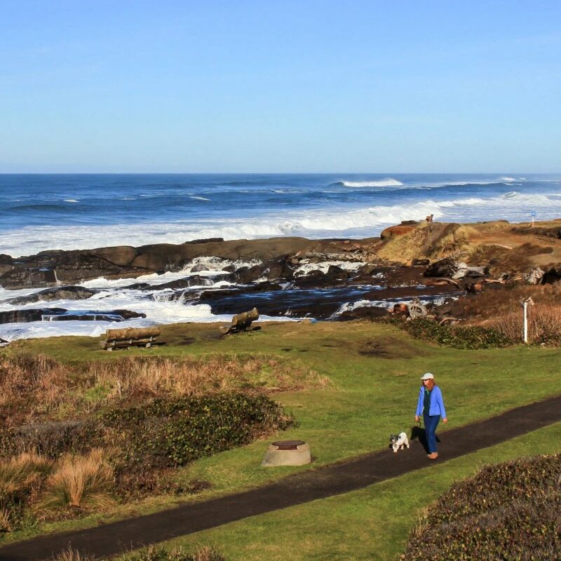 Best Dog Friendly Oregon Coast