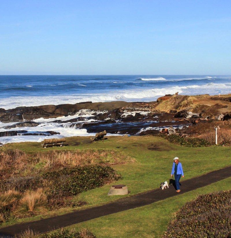 Best Dog Friendly Oregon Coast