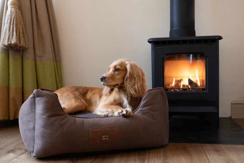 Best Dog Friendly Pubs Lake District