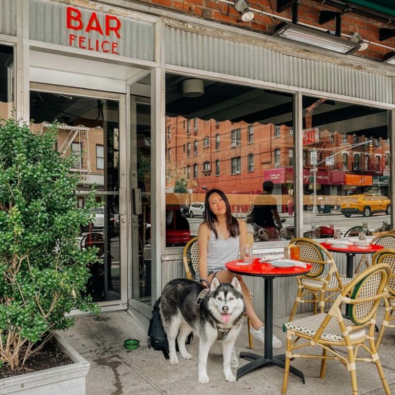 Best Dog Friendly Restaurants York