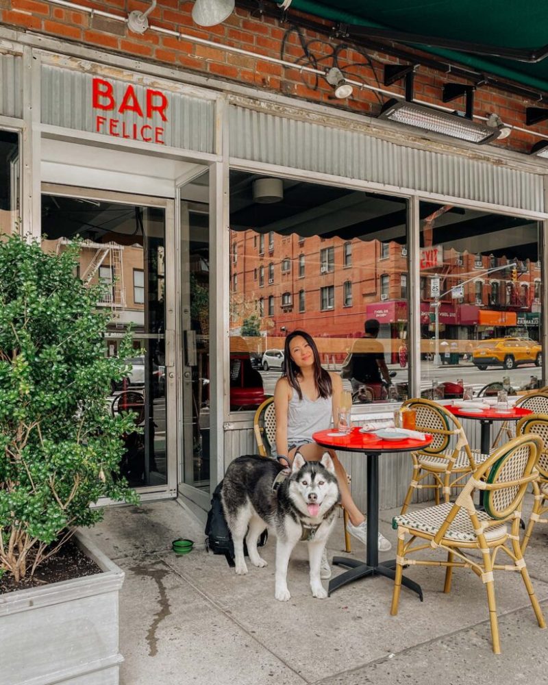 Best Dog Friendly Restaurants York