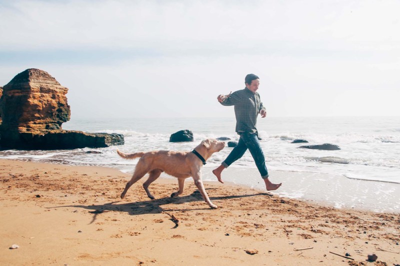 Best Dog Friendly States