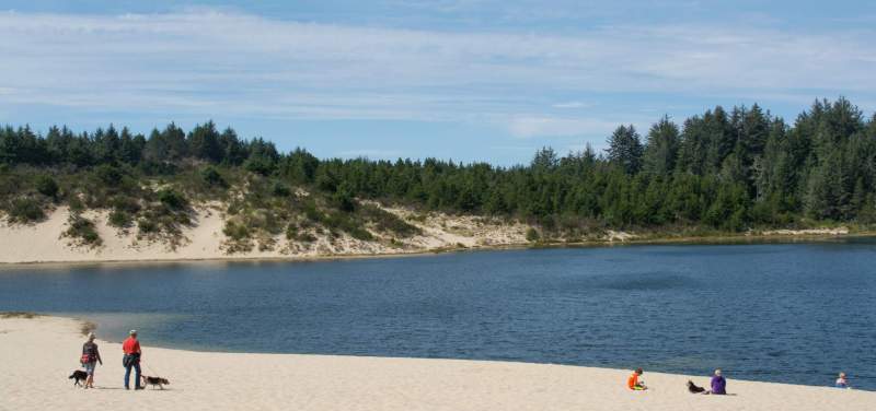 Best Dog Friendly Swimming Holes Near Me