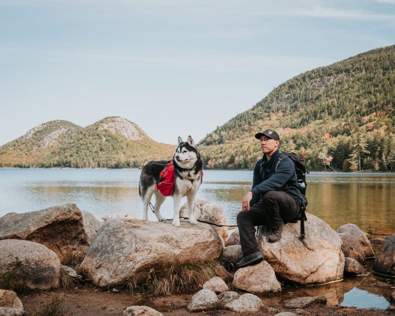 Best Dog Friendly Trails Acadia National Park