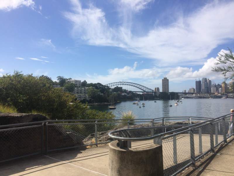 Best Dog Friendly Walks Sydney