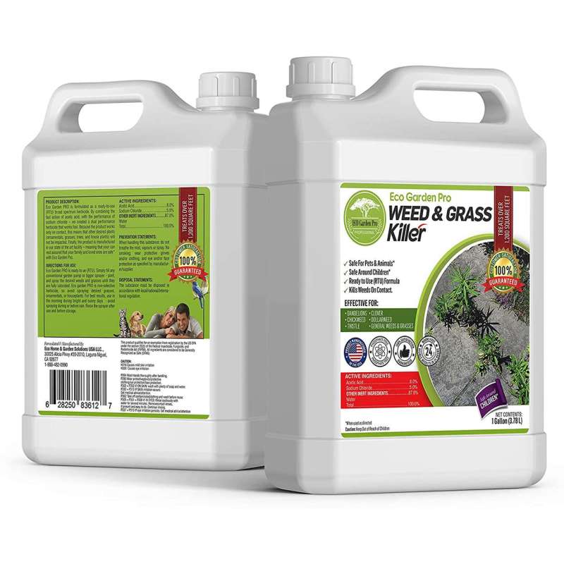 Best Dog Friendly Weed Killer Uk