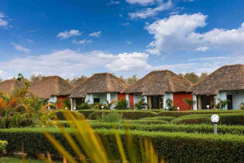 Best Pet Friendly Resorts In Jim Corbett