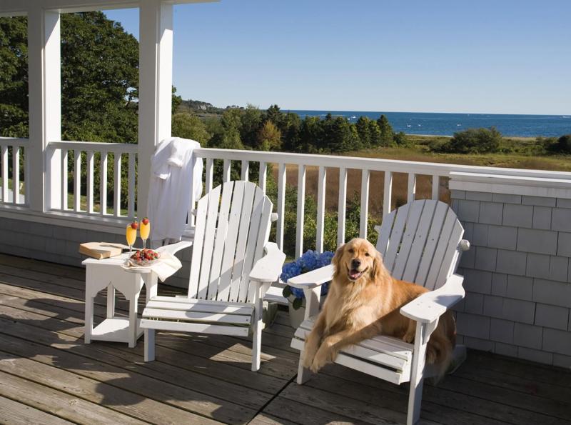 Best Pet Friendly Resorts Massachusetts