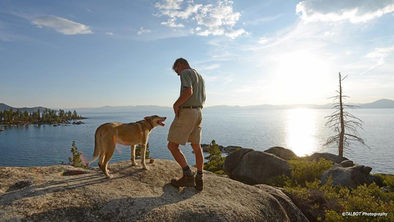 Best Places To Take Your Dog On Vacation