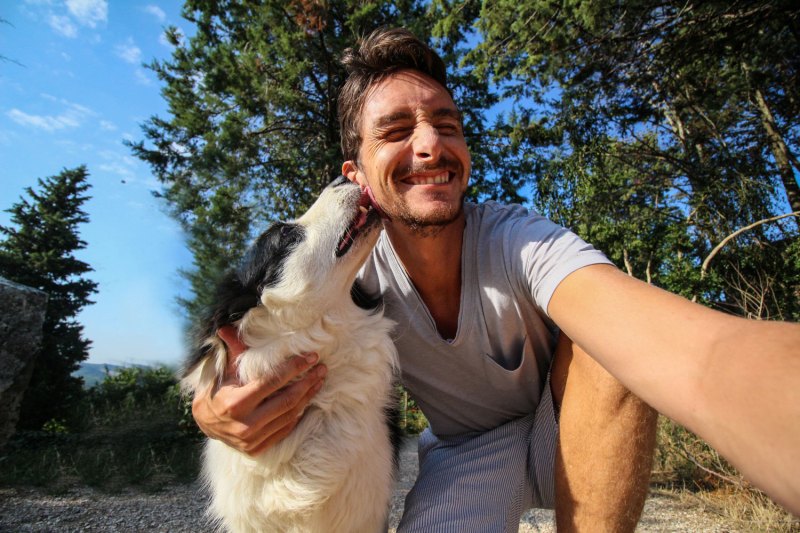 Best Vacations To Take With Your Dog