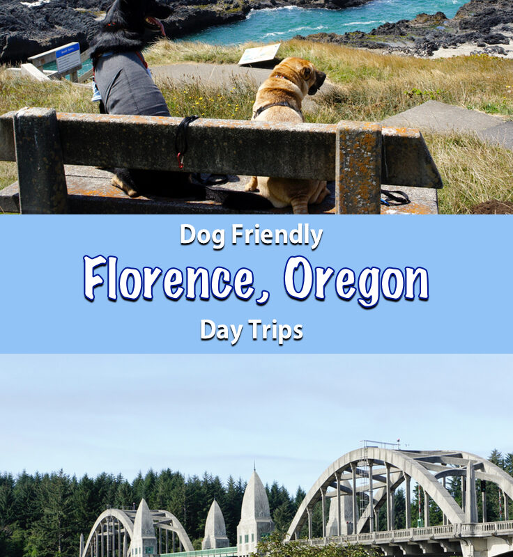 Day Trips With Dogs Near Me