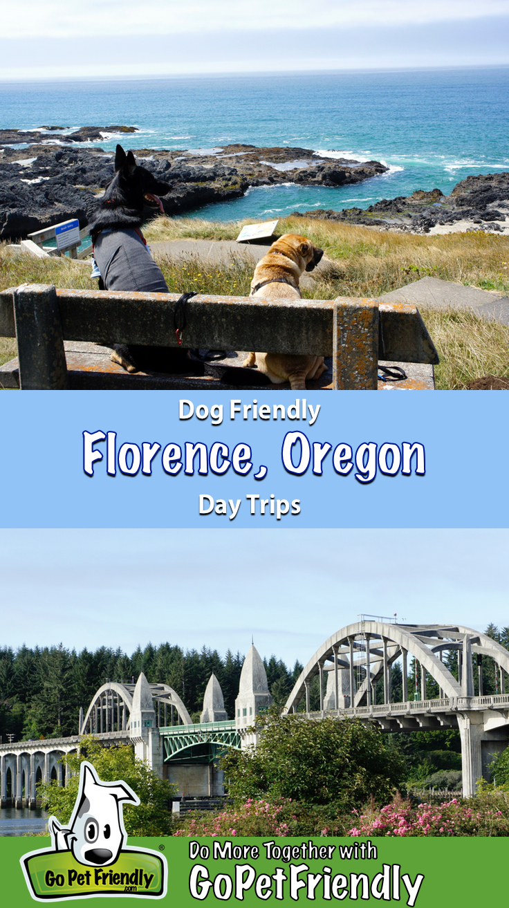 Day Trips With Dogs Near Me