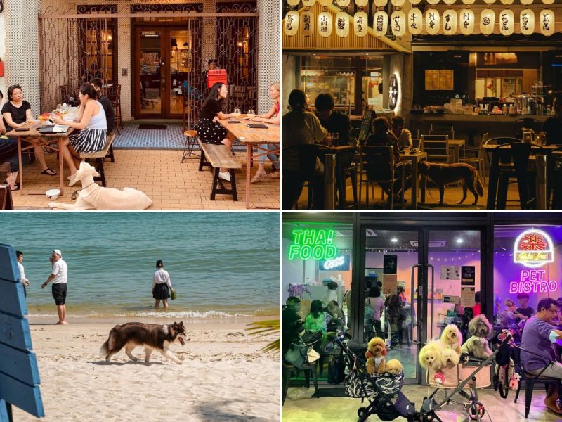 Dog Friendly Bars And Restaurants Near Me