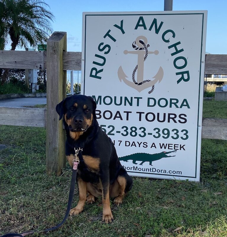 Dog Friendly Boat Trips Near Me