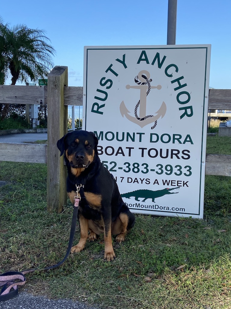 Dog Friendly Boat Trips Near Me