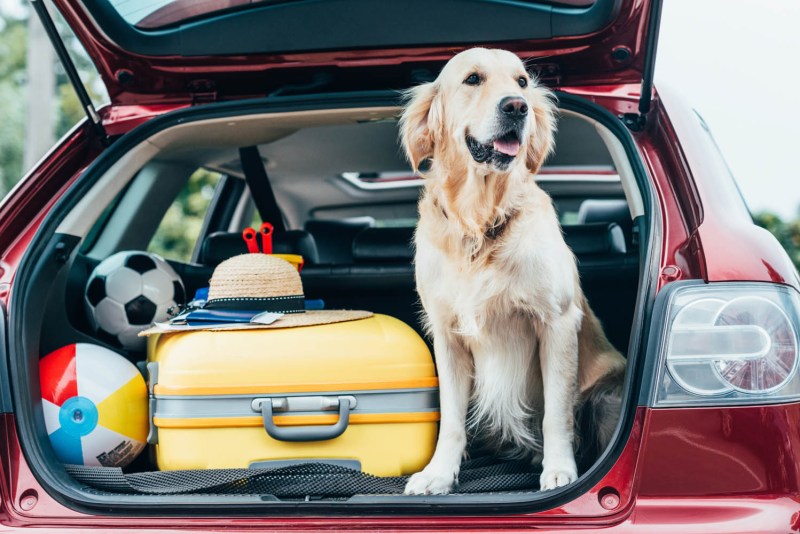 Dog Friendly Cabin Kent