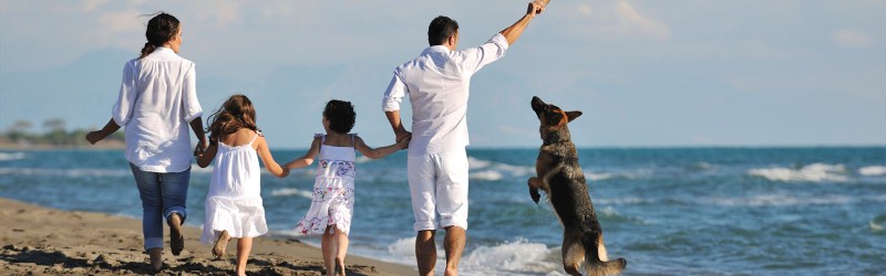 Dog Friendly Holidays Family