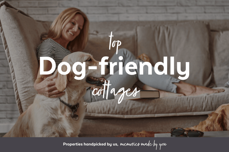 Dog Friendly Holidays Lancashire