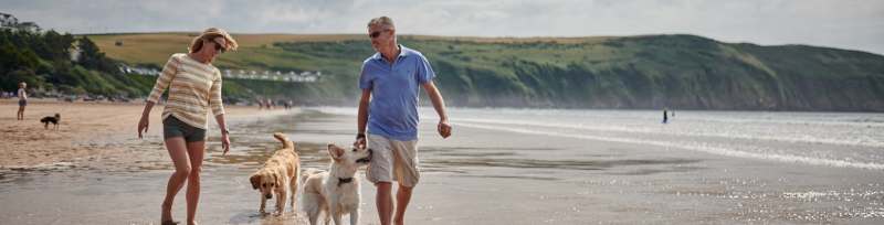 Dog Friendly Holidays Last Minute Deals