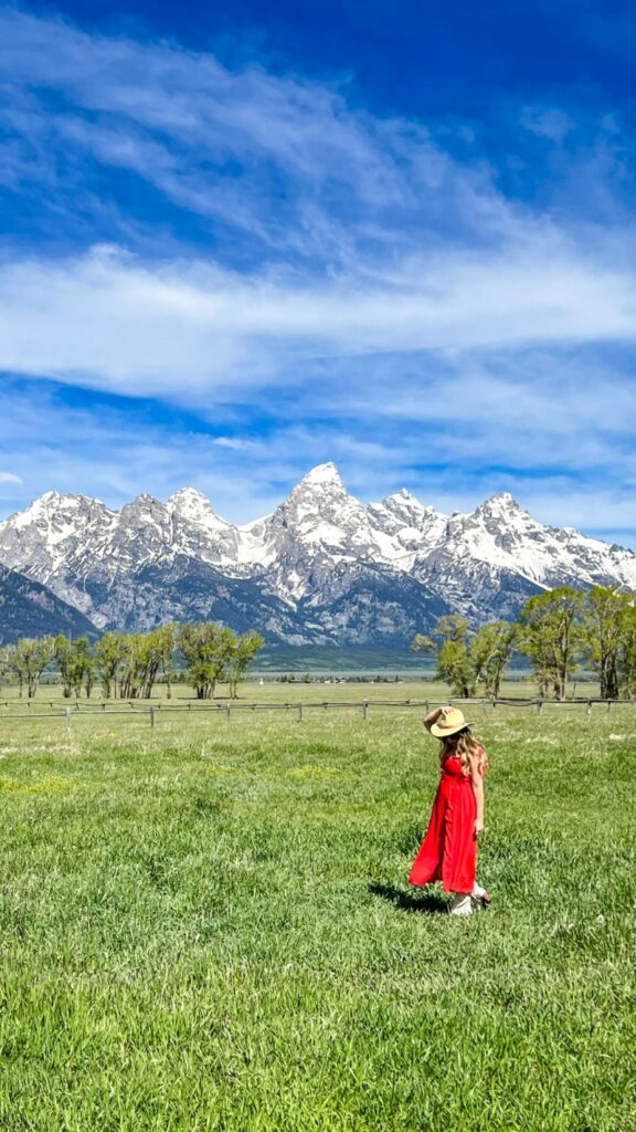 Dog Friendly Lodging Near Jackson Hole Wy