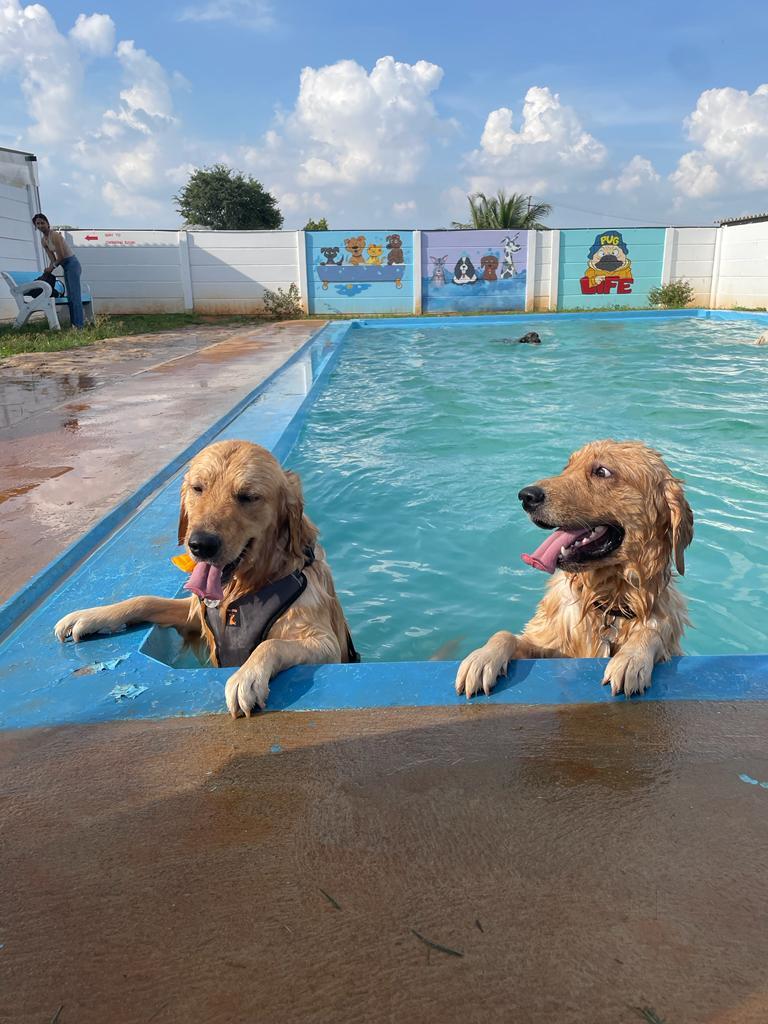 Dog Friendly Resorts Near Bangalore