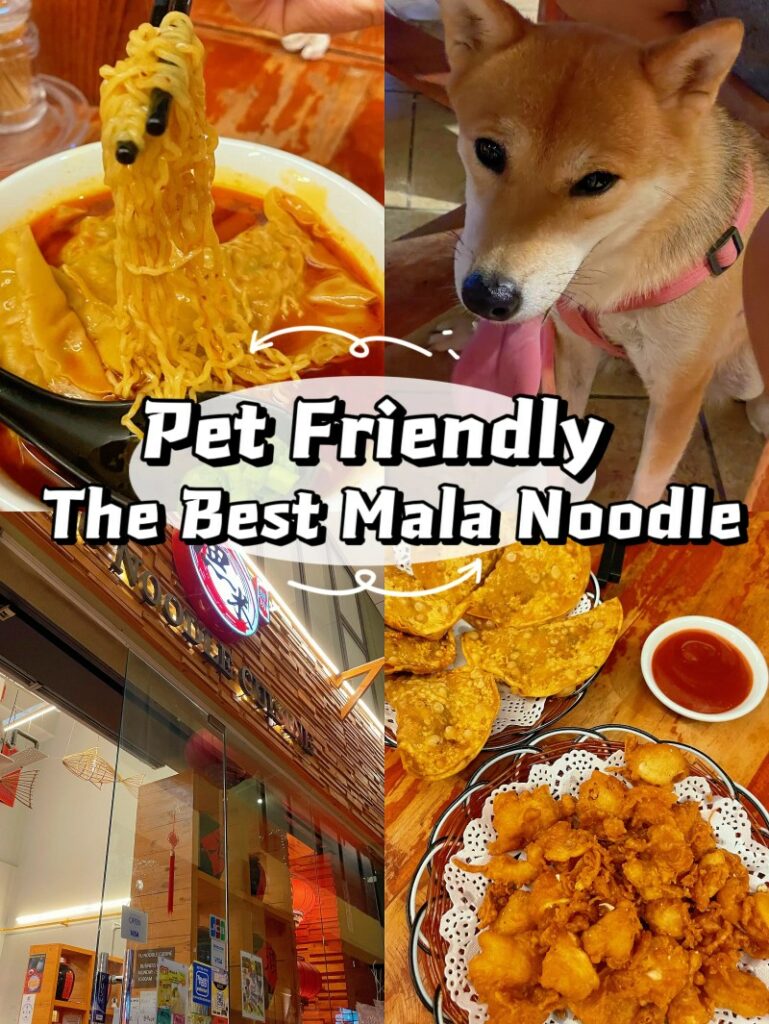 Dog Friendly Restaurants Near Me Open