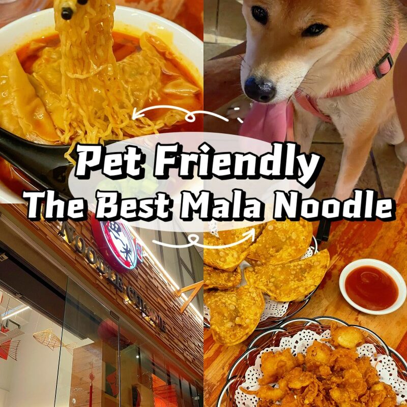 Dog Friendly Restaurants Near Me Open