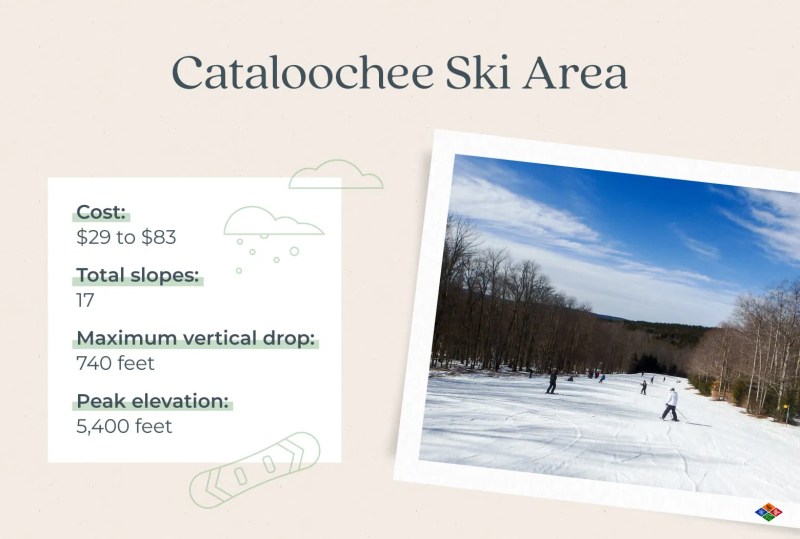 Dog Friendly Ski Resorts North Carolina