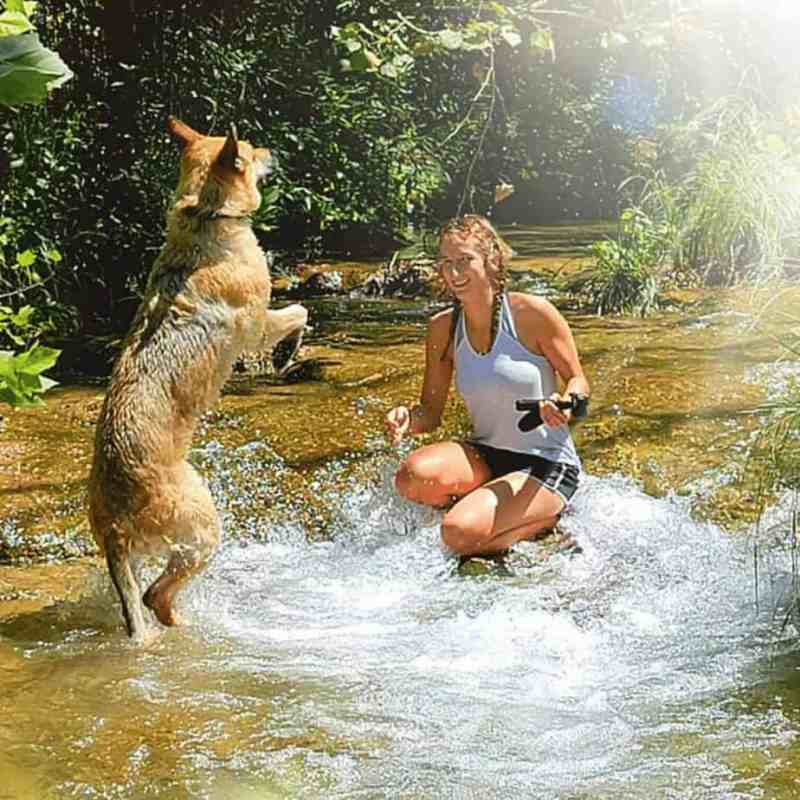 Dog Friendly Vacations Arkansas