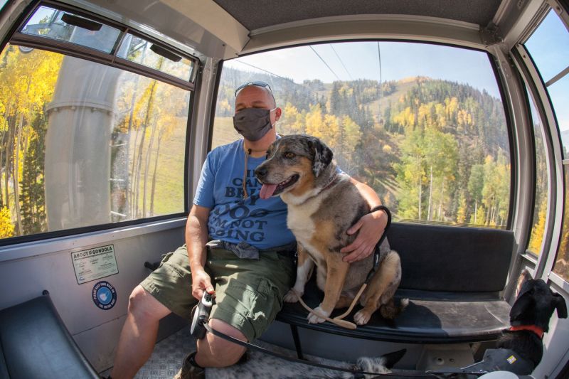 Dog Friendly Vacations In Colorado