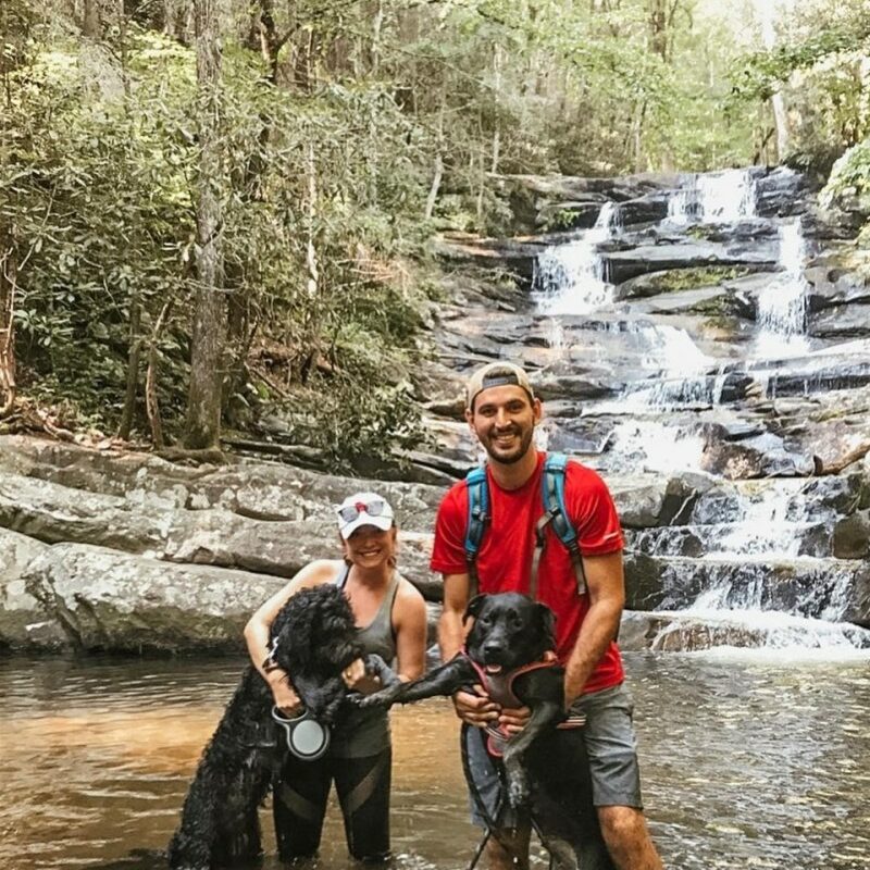 Dog Friendly Vacations In Georgia