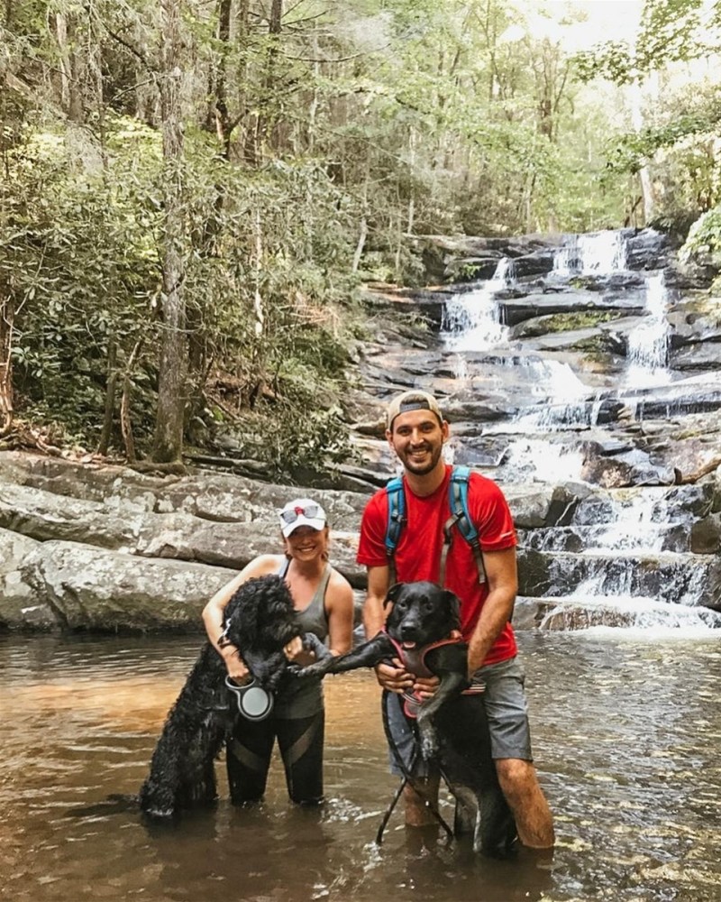 Dog Friendly Vacations In Georgia