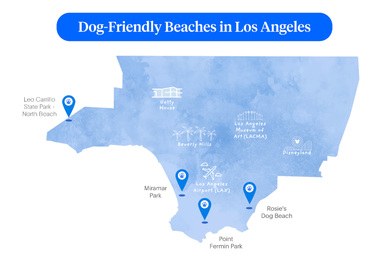 Dog-friendly Vacations In Southern California