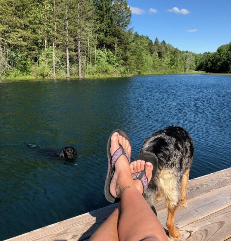 Dog Friendly Vacations In Upstate Ny