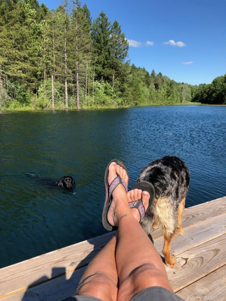 Dog Friendly Vacations In Upstate Ny