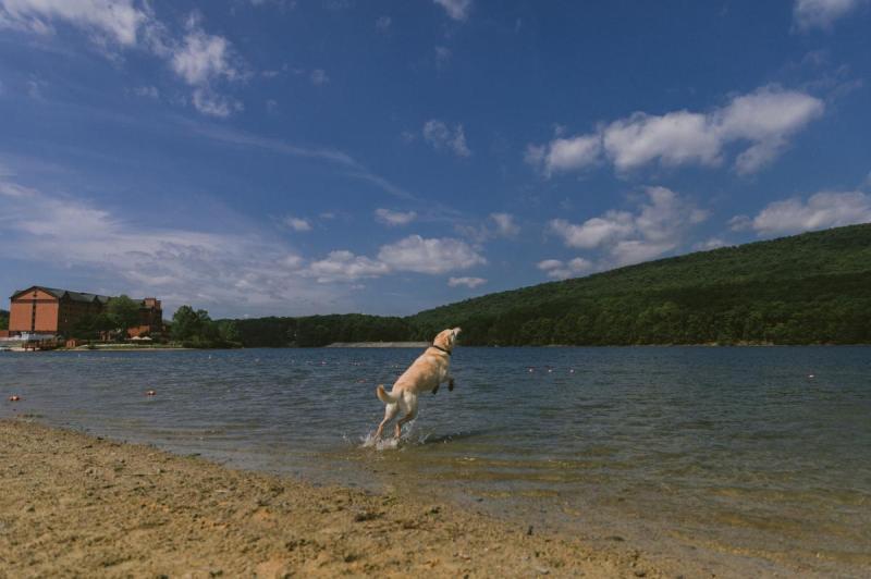 Dog Friendly Vacations Pennsylvania