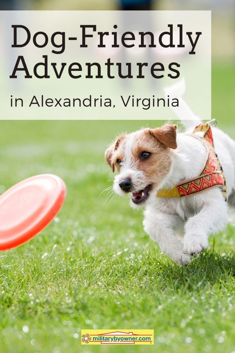 Dog Friendly Vacations Virginia