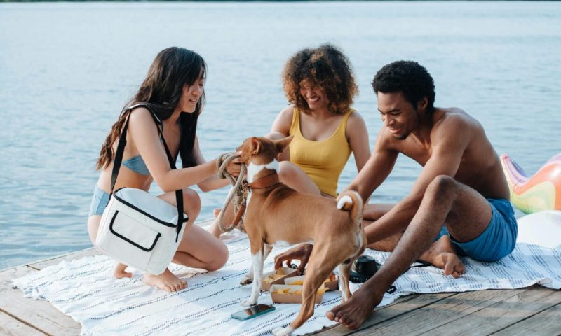 Dog Vacation Ideas