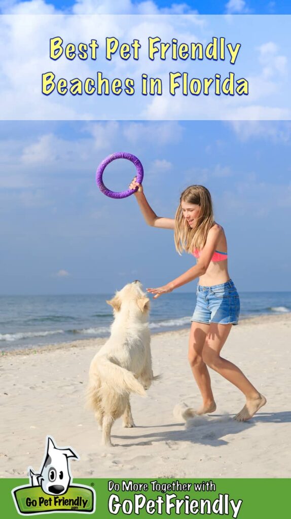 Fun Pet Friendly Vacations Near Me