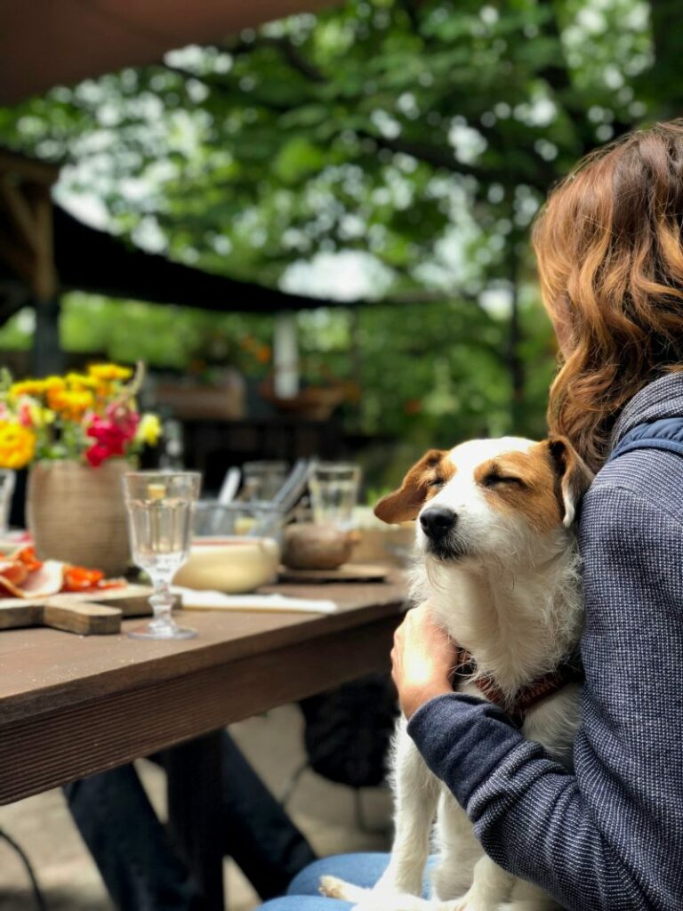 Good Dog Friendly Restaurants Near Me