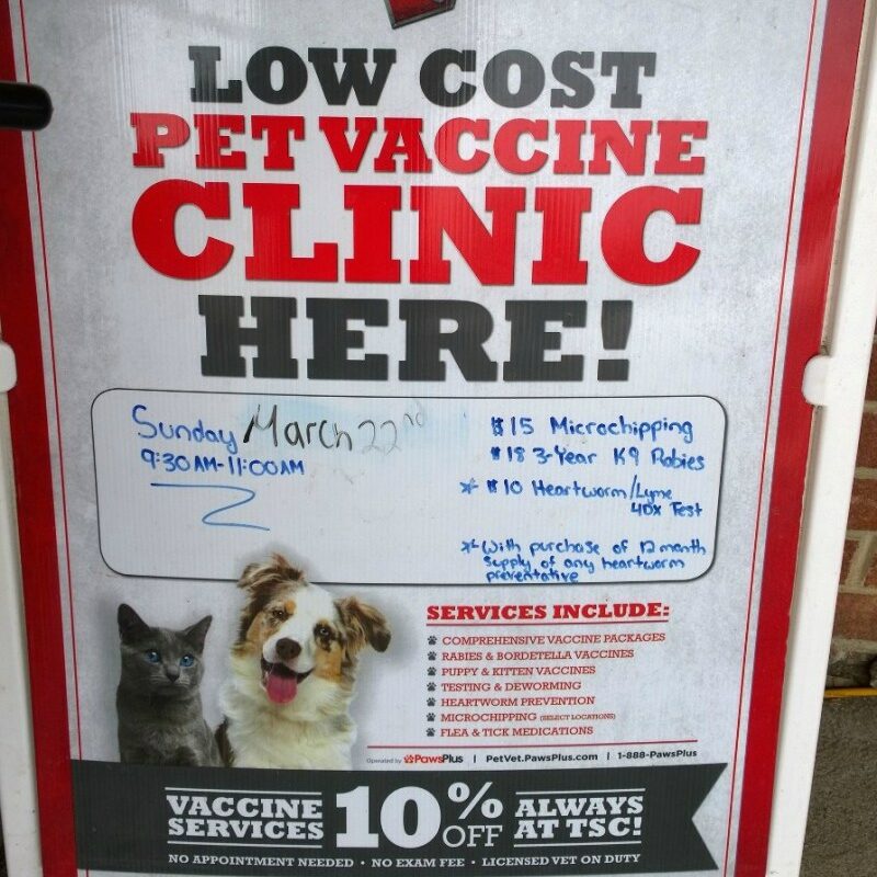 How Much Does It Cost To Get My Dog Shots