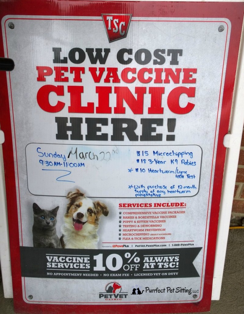 How Much Does It Cost To Get My Dog Shots