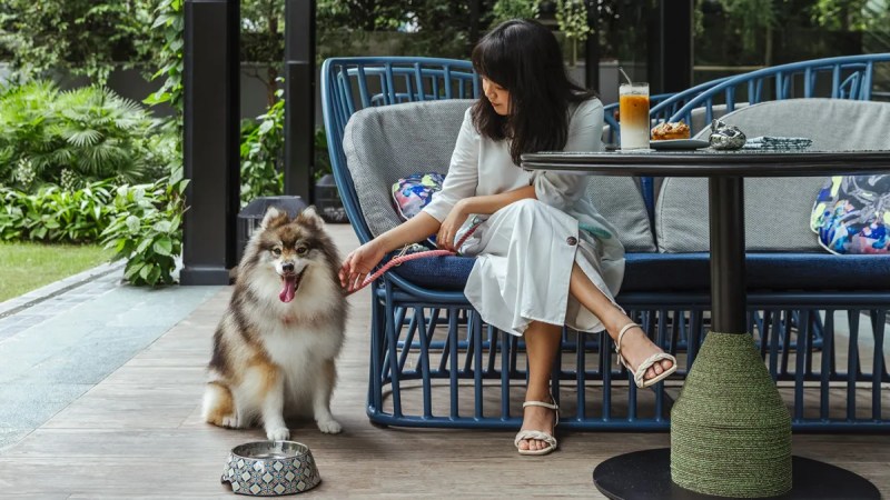 Luxury Dog Friendly Resorts Near Me