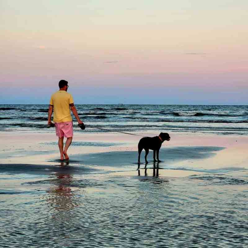 Most Dog Friendly Beaches East Coast