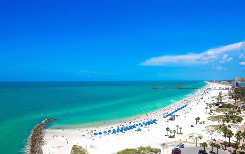 Pet Friendly Vacation Rentals Clearwater Beach Fl