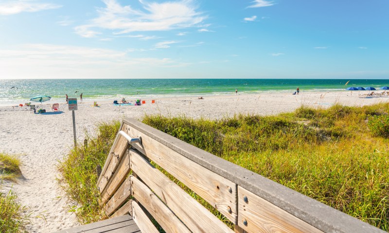 Pet Friendly Vacation Rentals Mexico Beach Fl