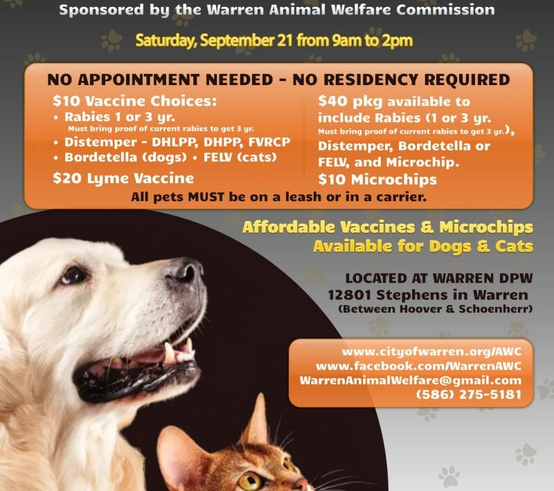 How Much Does It Cost To Get My Dog Vaccinated